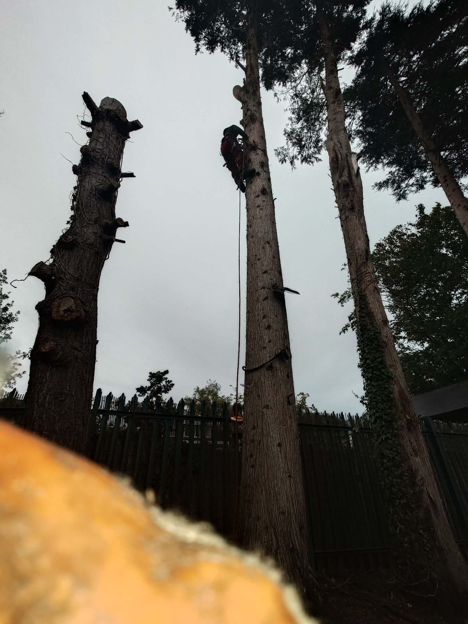 Garden services Halifax