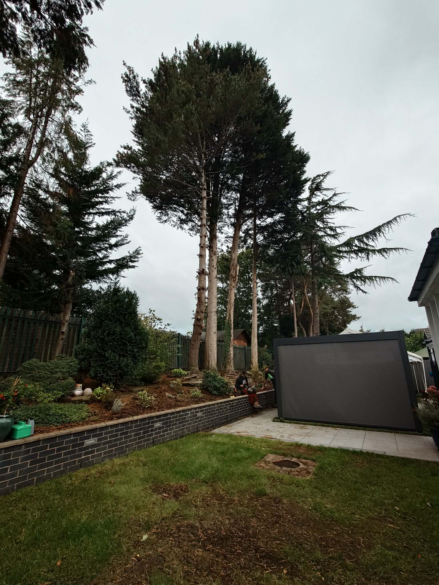 Garden tree work Halifax