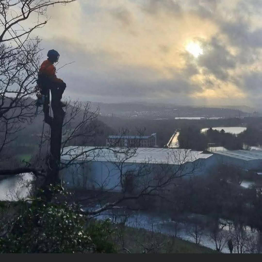 Outdoor landscaping Halifax