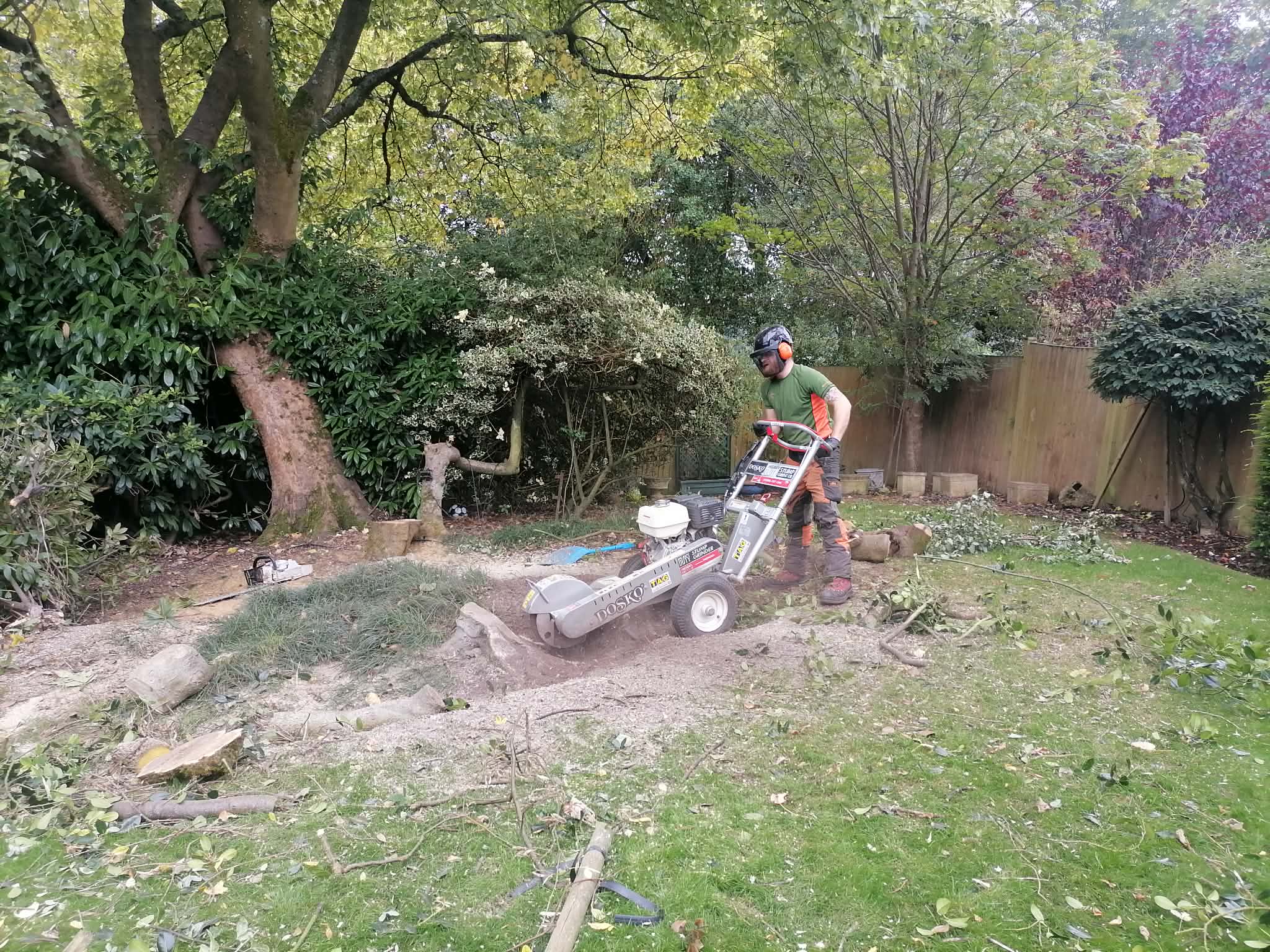 Stump grinding Halifax
