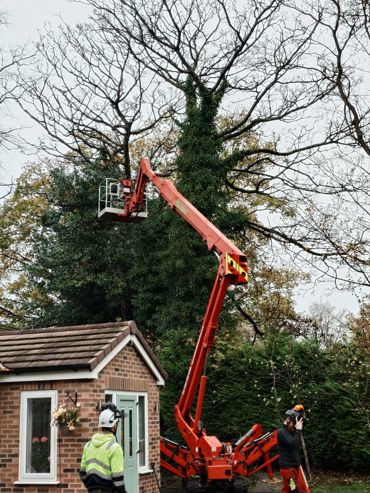 Tree Surgery Halifax