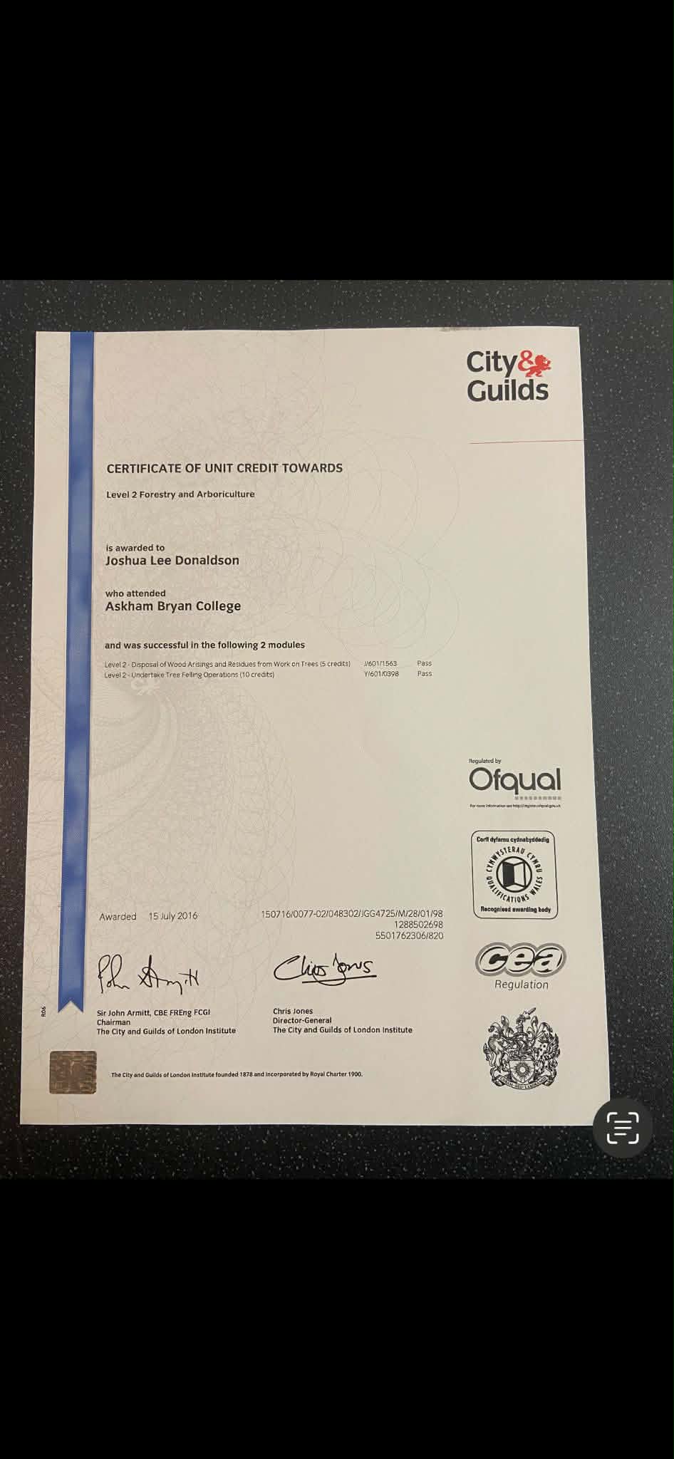 Tree surgery West Yorkshire